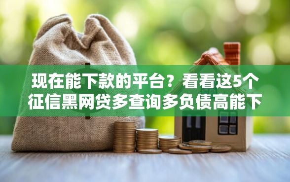 现在能下款的平台？看看这5个征信黑网贷多查询多负债高能下款的口子怎么样