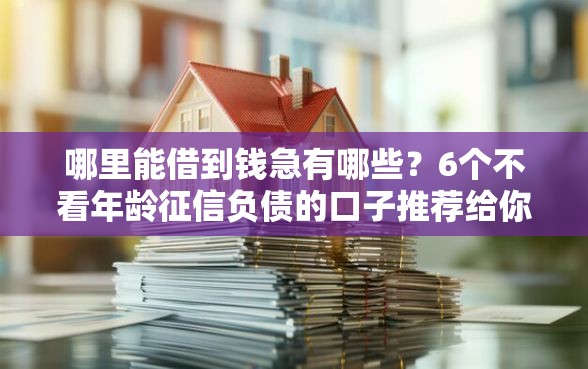 哪里能借到钱急有哪些？6个不看年龄征信负债的口子推荐给你