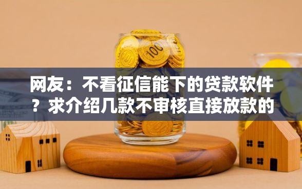 网友：不看征信能下的贷款软件？求介绍几款不审核直接放款的软件