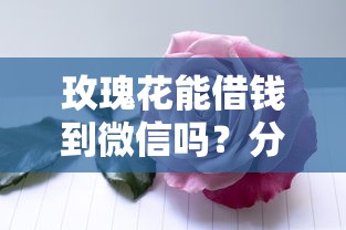 玫瑰花能借钱到微信吗？分享6个3千元无门槛私借平台