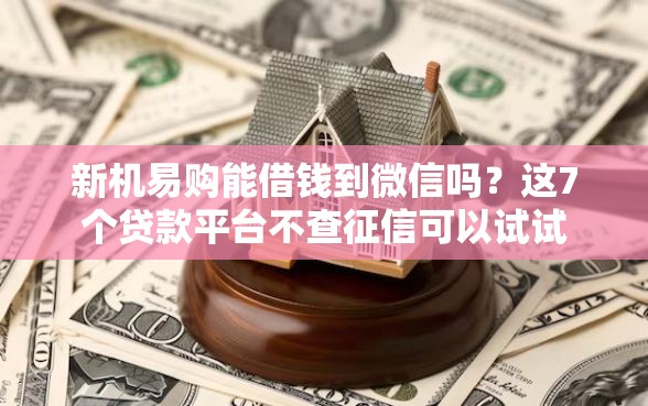 新机易购能借钱到微信吗？这7个贷款平台不查征信可以试试