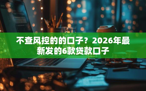 不查风控的的口子？2026年最新发的6款贷款口子