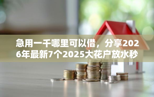 急用一千哪里可以借，分享2026年最新7个2025大花户放水秒下款的口子