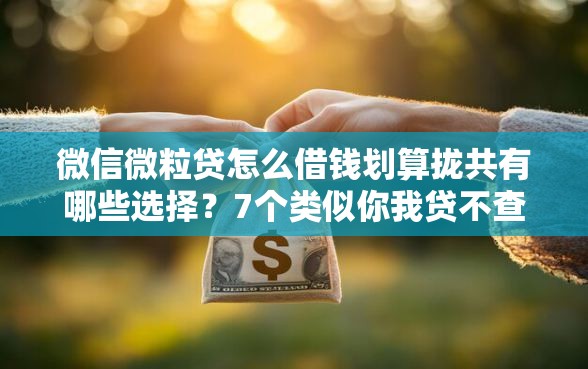 微信微粒贷怎么借钱划算拢共有哪些选择？7个类似你我贷不查征信的贷款平台详解