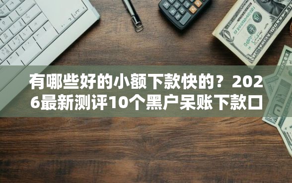 有哪些好的小额下款快的？2026最新测评10个黑户呆账下款口子