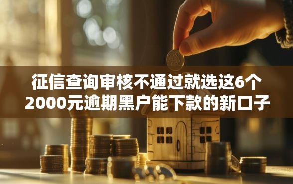 征信查询审核不通过就选这6个2000元逾期黑户能下款的新口子