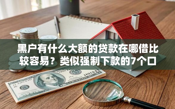 黑户有什么大额的贷款在哪借比较容易？类似强制下款的7个口子参考
