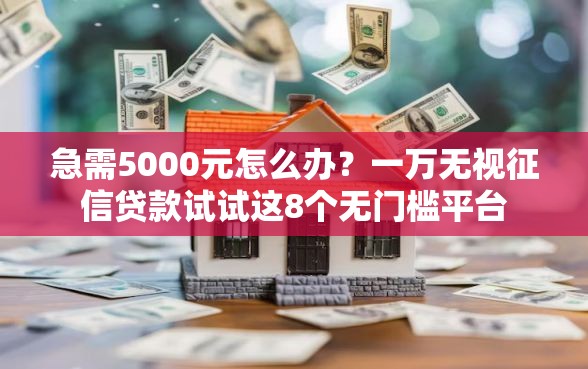 急需5000元怎么办？一万无视征信贷款试试这8个无门槛平台