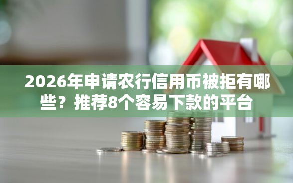 2026年申请农行信用币被拒有哪些？推荐8个容易下款的平台