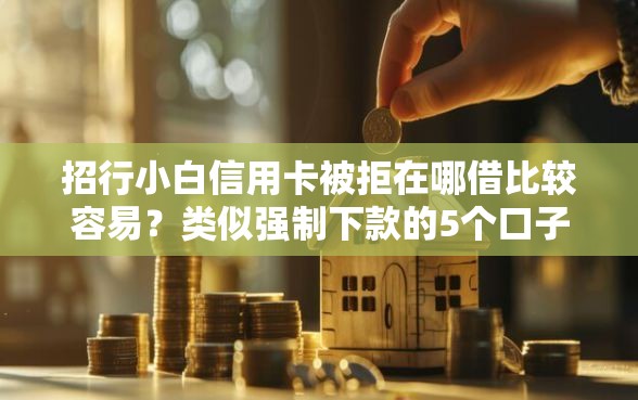 招行小白信用卡被拒在哪借比较容易？类似强制下款的5个口子参考