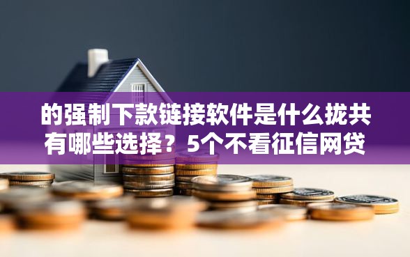 的强制下款链接软件是什么拢共有哪些选择？5个不看征信网贷平台放款快的软件详解