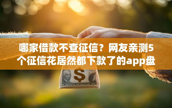 哪家借款不查征信？网友亲测5个征信花居然都下款了的app盘点