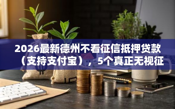 2026最新德州不看征信抵押贷款（支持支付宝），5个真正无视征信黑白100%秒下网贷无私分享