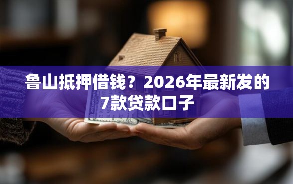 鲁山抵押借钱？2026年最新发的7款贷款口子