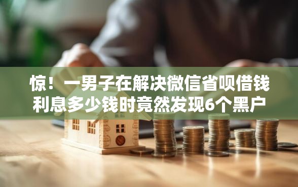 惊！一男子在解决微信省呗借钱利息多少钱时竟然发现6个黑户能贷款的平台有什么，事后分享了出来