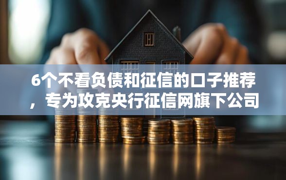 6个不看负债和征信的口子推荐，专为攻克央行征信网旗下公司难题