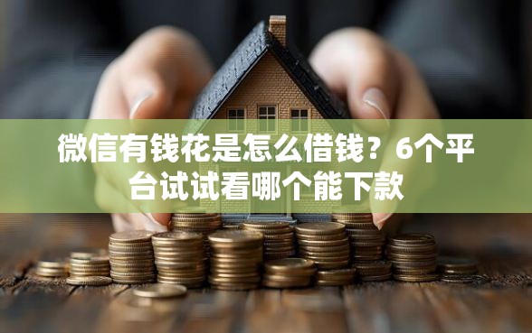 微信有钱花是怎么借钱？6个平台试试看哪个能下款