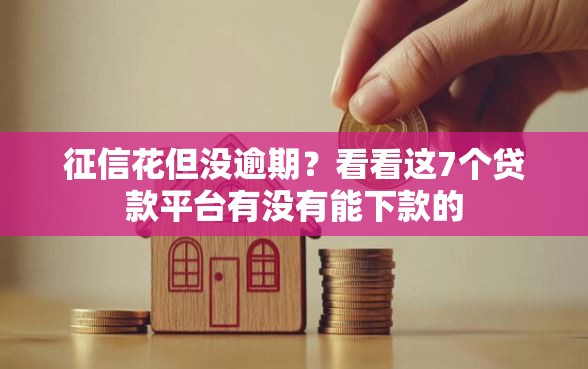 征信花但没逾期？看看这7个贷款平台有没有能下款的