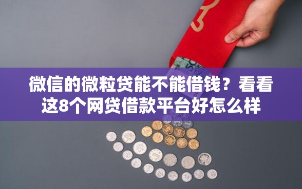 微信的微粒贷能不能借钱？看看这8个网贷借款平台好怎么样