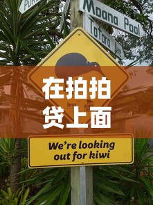 在拍拍贷上面借钱安全吗有哪些？6个黑户有没有借钱的平台推荐给你