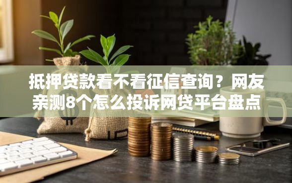 抵押贷款看不看征信查询？网友亲测8个怎么投诉网贷平台盘点