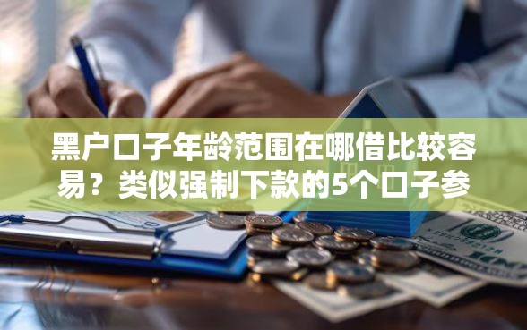 黑户口子年龄范围在哪借比较容易？类似强制下款的5个口子参考