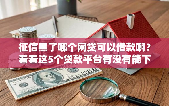 征信黑了哪个网贷可以借款啊？看看这5个贷款平台有没有能下款的