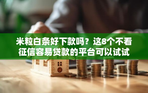 米粒白条好下款吗？这8个不看征信容易贷款的平台可以试试