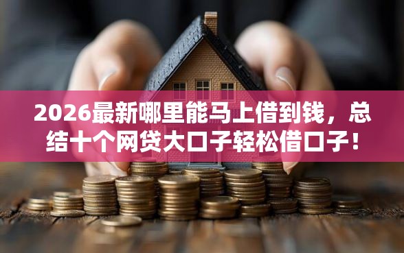 2026最新哪里能马上借到钱，总结十个网贷大口子轻松借口子！