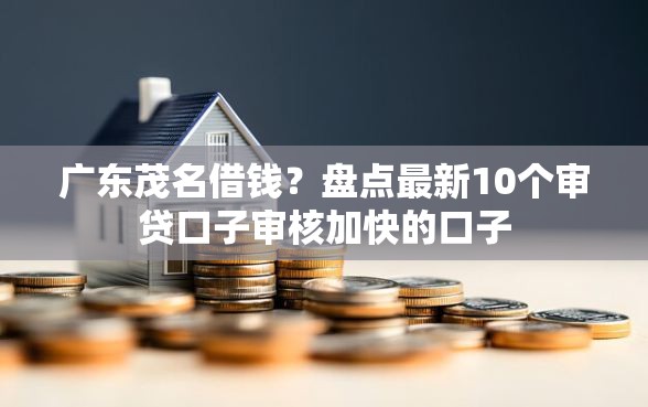 广东茂名借钱？盘点最新10个审贷口子审核加快的口子