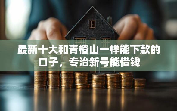 最新十大和青橙山一样能下款的口子，专治新号能借钱