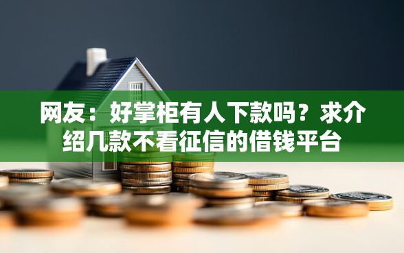 网友：好掌柜有人下款吗？求介绍几款不看征信的借钱平台