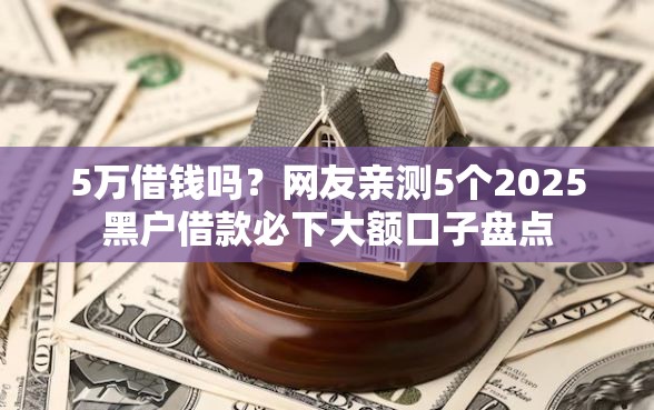 5万借钱吗？网友亲测5个2025黑户借款必下大额口子盘点