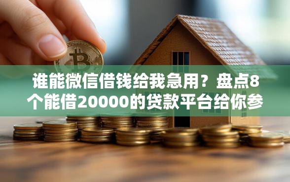 谁能微信借钱给我急用？盘点8个能借20000的贷款平台给你参考