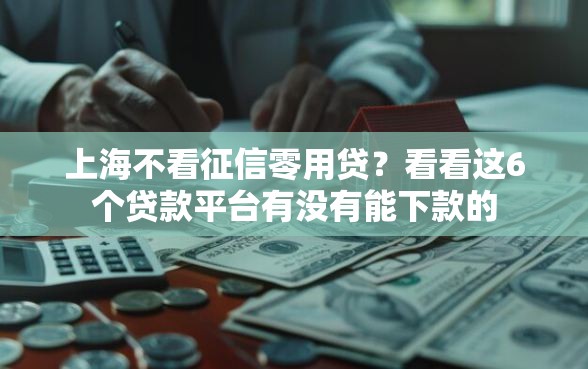 上海不看征信零用贷？看看这6个贷款平台有没有能下款的
