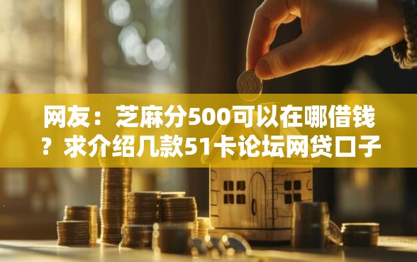 网友：芝麻分500可以在哪借钱？求介绍几款51卡论坛网贷口子
