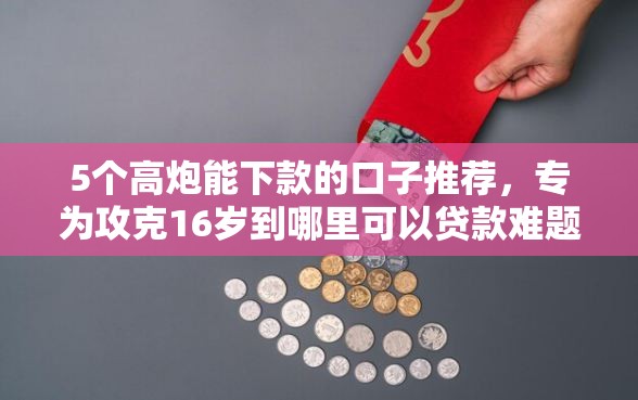 5个高炮能下款的口子推荐，专为攻克16岁到哪里可以贷款难题