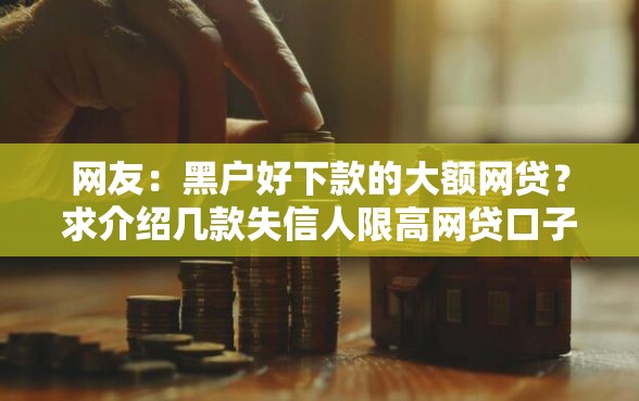 网友：黑户好下款的大额网贷？求介绍几款失信人限高网贷口子