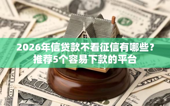 2026年信贷款不看征信有哪些？推荐5个容易下款的平台