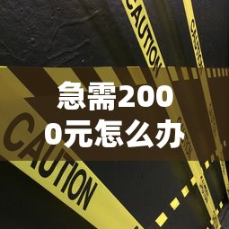 急需2000元怎么办？车贷被建设银行秒拒试试这5个无门槛平台