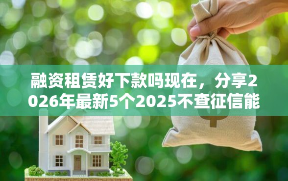 融资租赁好下款吗现在，分享2026年最新5个2025不查征信能下款的平台