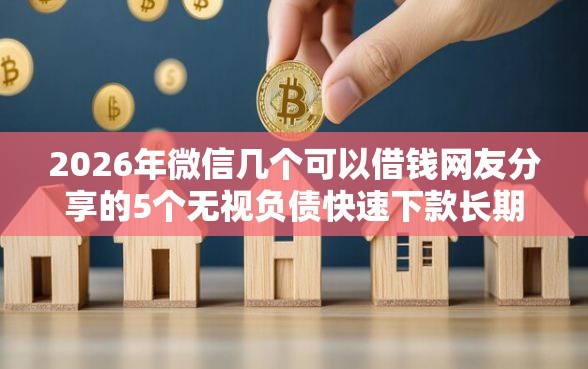 2026年微信几个可以借钱网友分享的5个无视负债快速下款长期网贷的口子我觉得不错！