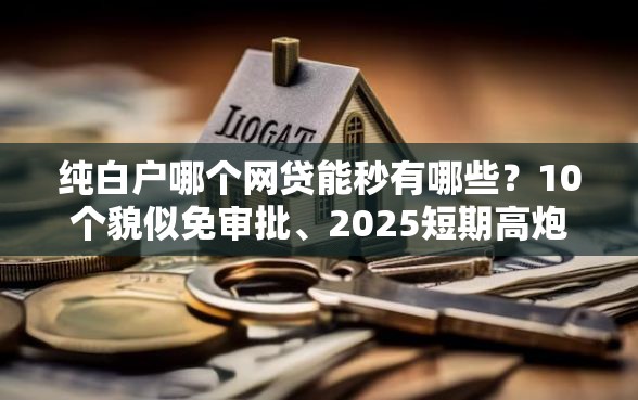 纯白户哪个网贷能秒有哪些？10个貌似免审批、2025短期高炮口子必下款合集