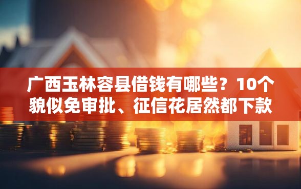 广西玉林容县借钱有哪些？10个貌似免审批、征信花居然都下款的口子合集