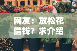 网友：放松花借钱？求介绍几款网上贷款平台好
