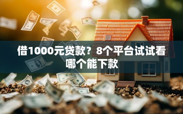 借1000元贷款？8个平台试试看哪个能下款