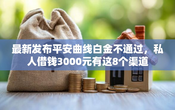 最新发布平安曲线白金不通过，私人借钱3000元有这8个渠道