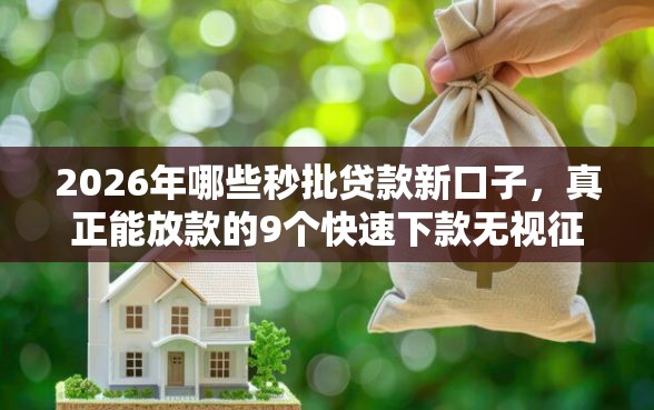 2026年哪些秒批贷款新口子，真正能放款的9个快速下款无视征信的软件推荐