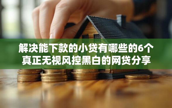 解决能下款的小贷有哪些的6个真正无视风控黑白的网贷分享