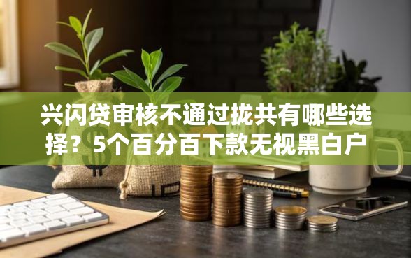 兴闪贷审核不通过拢共有哪些选择？5个百分百下款无视黑白户网贷详解